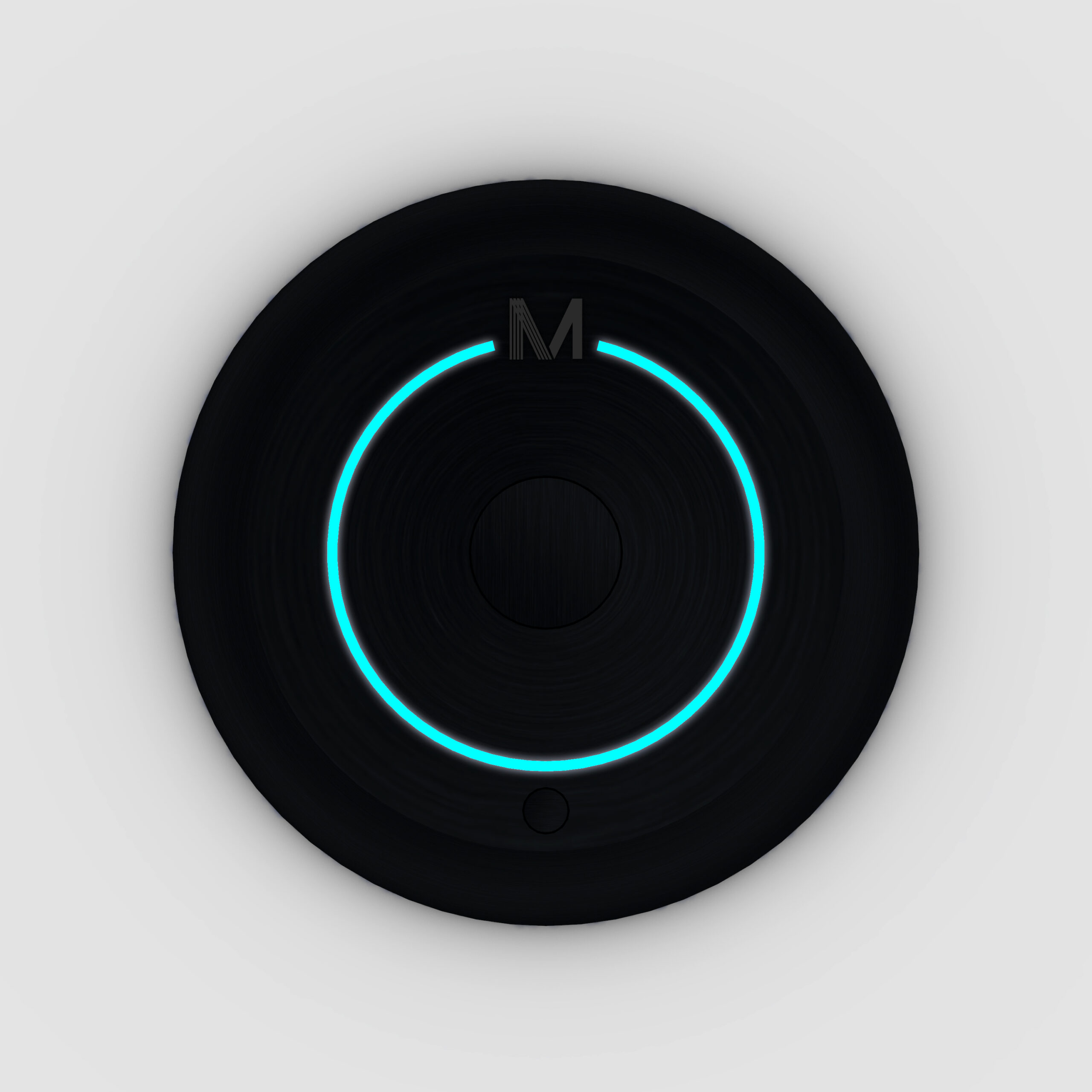 ADAMO3: MEMINI, a Watch to remember – Wearable technologies for elderly care