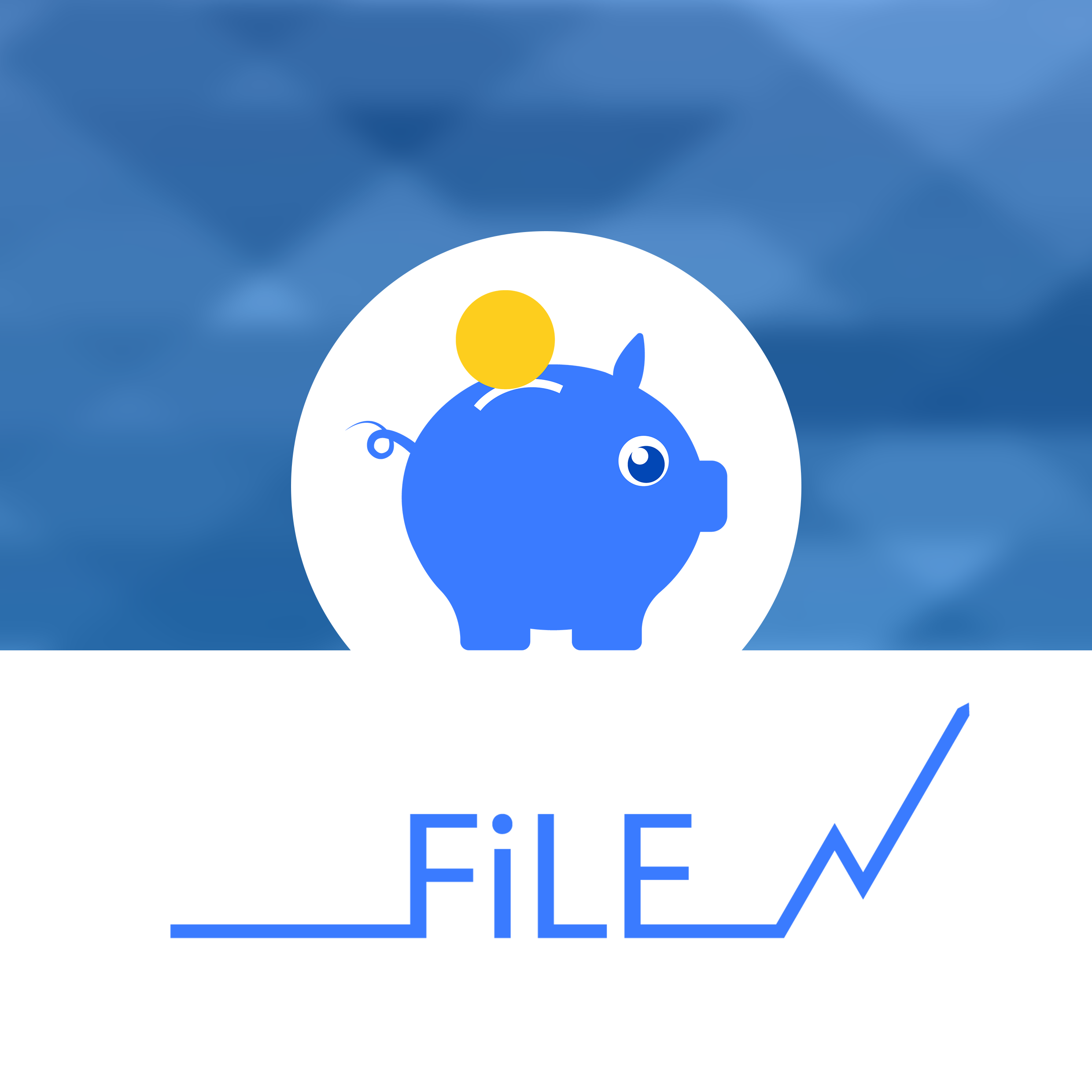FiLE: Financial Literacy and Hi-Tech Entrepreneurship