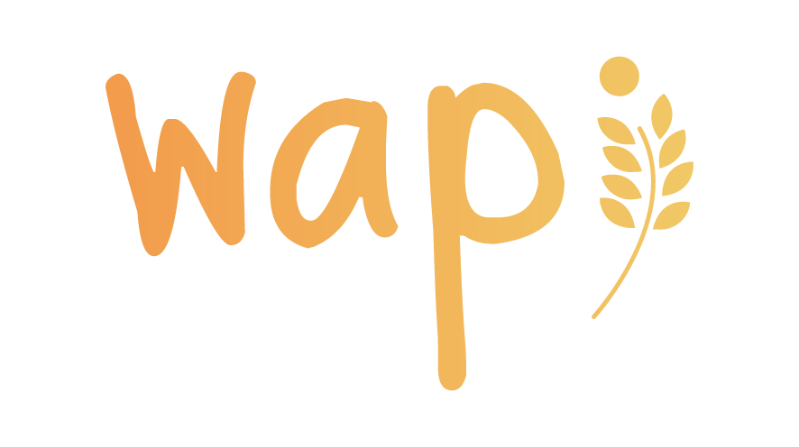 SB 4.0 WAPI: Space Business 4.0