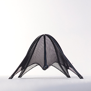 SBINBEN: Smart Bio-inspired Building Envelopes